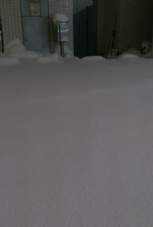 blog_import_54d6022d1662a