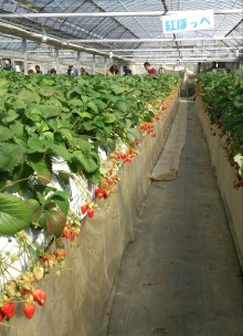 blog_import_54d6027868ad0