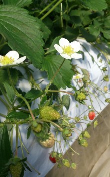 blog_import_54d6027944e38