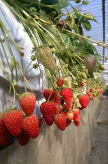 blog_import_54d6027a5109f