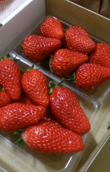 blog_import_54d6028493620