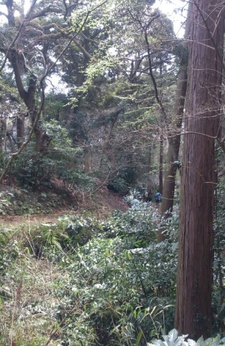 blog_import_54d60299dc73a