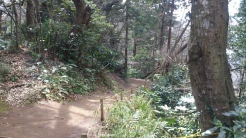 blog_import_54d602a6f0a9e