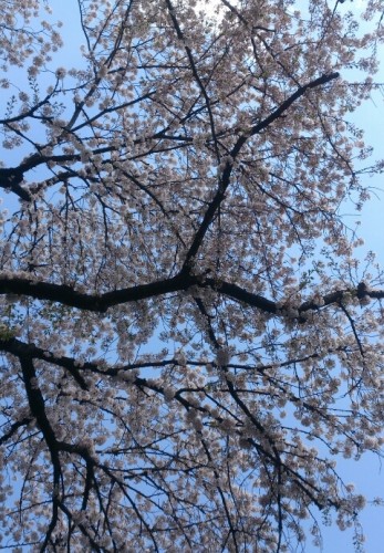 blog_import_54d602ccc0f24