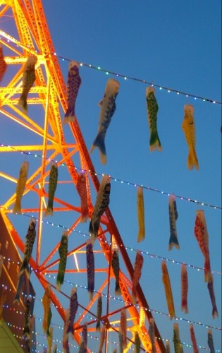 blog_import_54d60318cc5ff