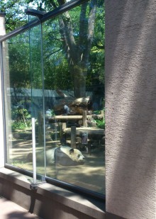 blog_import_54d6034463a27