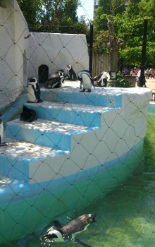 blog_import_54d60348a7abc