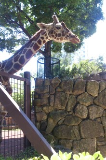 blog_import_54d6034a0eb15