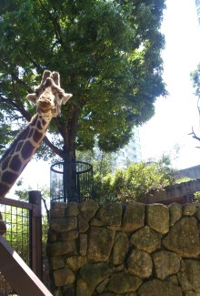 blog_import_54d6034bba8b0