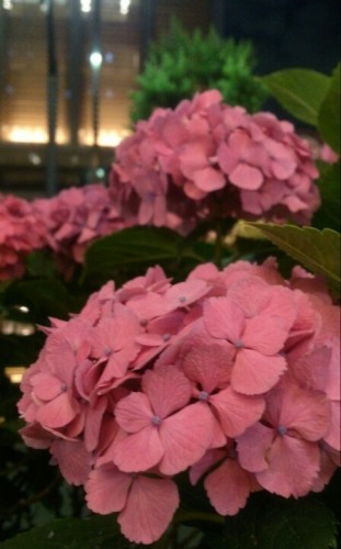 blog_import_54d603da18c94