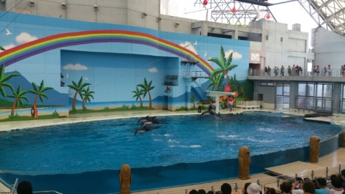 blog_import_54d603f15d152