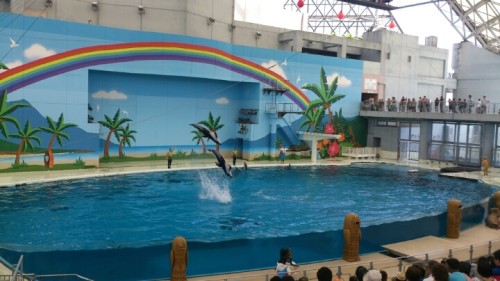 blog_import_54d603f60c09e