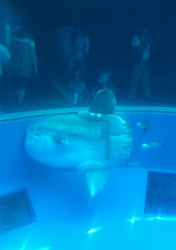 blog_import_54d604021af54