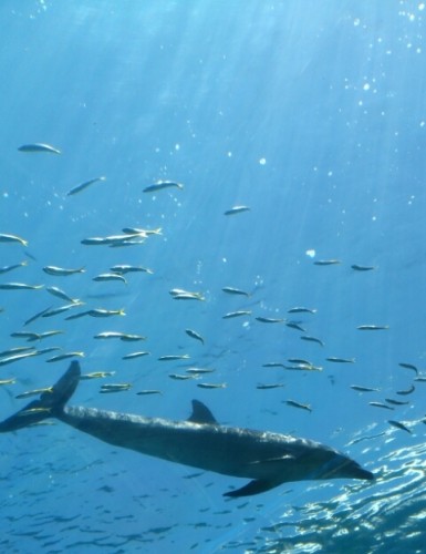 blog_import_54d604027bea5