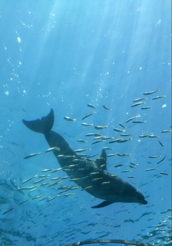 blog_import_54d60406b3ef8