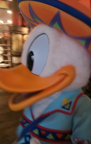 blog_import_54d604928004d