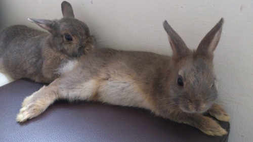 blog_import_54d604ad12d2b