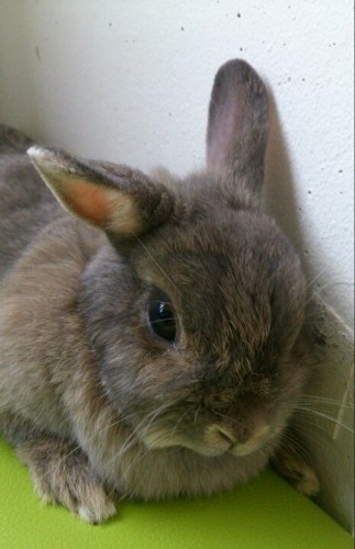 blog_import_54d604b15cd5a