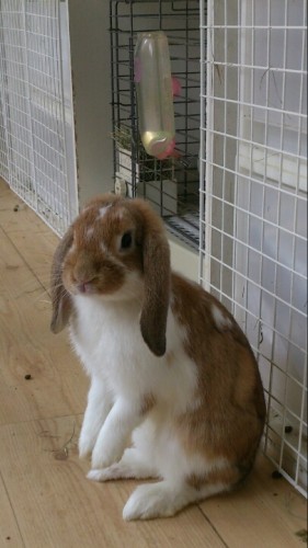 blog_import_54d604babbf62