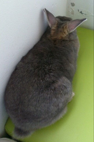 blog_import_54d604be9a5fc