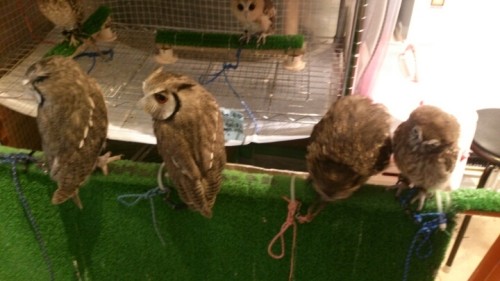 blog_import_54d604d27a6ee