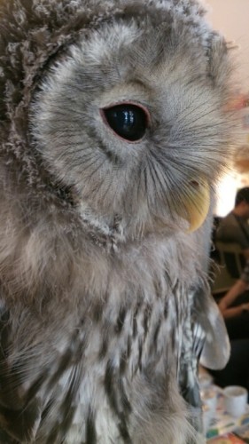 blog_import_54d604d74321a