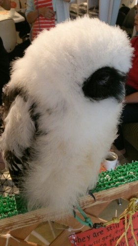 blog_import_54d604daa3e67