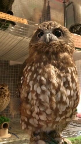 blog_import_54d604deb69a8