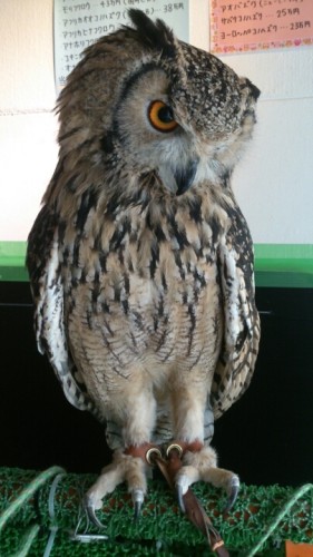 blog_import_54d604e450def