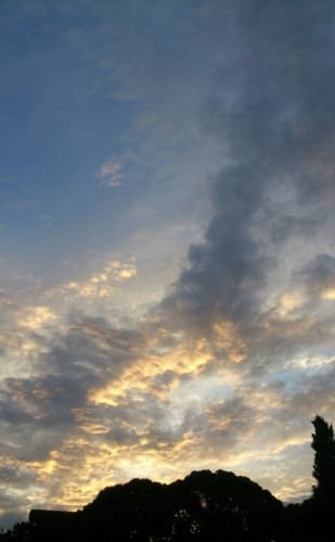 blog_import_54d6050481ee4