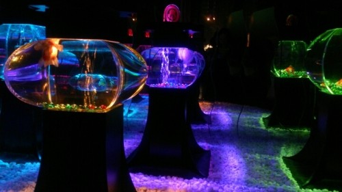 blog_import_54d6053580188