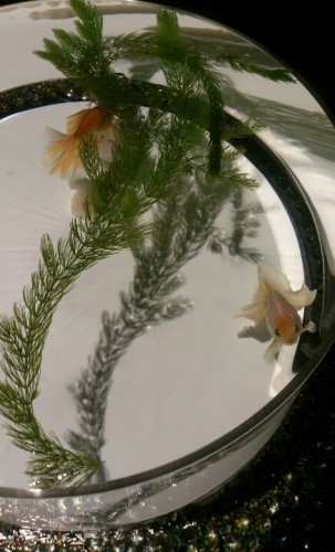 blog_import_54d6054051dc8