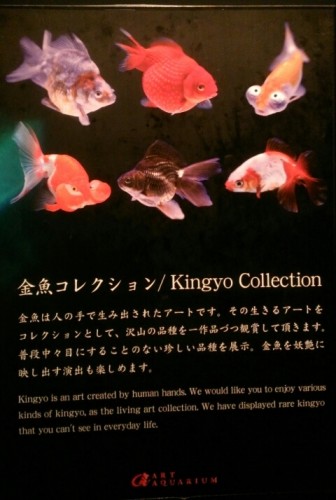 blog_import_54d60556a2150