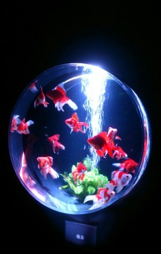 blog_import_54d605591435a