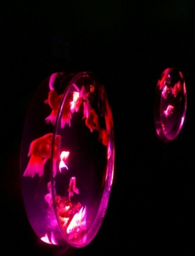 blog_import_54d6055f82c67