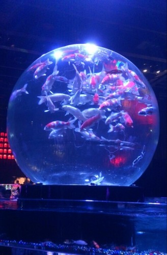 blog_import_54d60562713ec