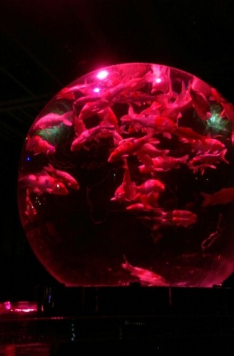 blog_import_54d6056639327