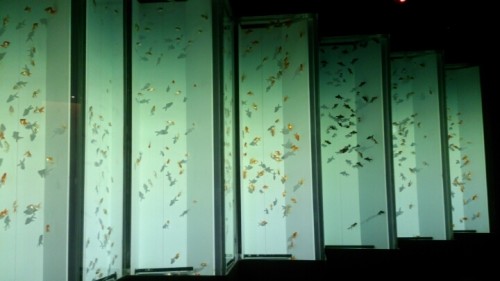 blog_import_54d60568a9dc8