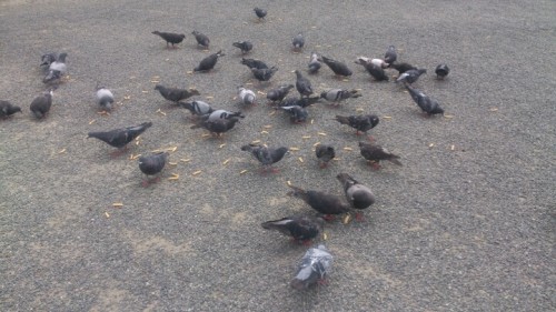 blog_import_54d605af31aaa