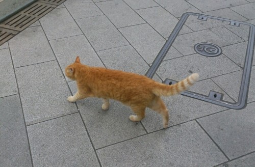 blog_import_54d605cba911f