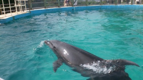 blog_import_54d605e310eec