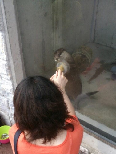 blog_import_54d605f1d1d49