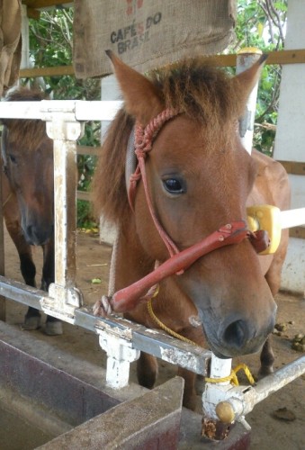 blog_import_54d606fbdc85c