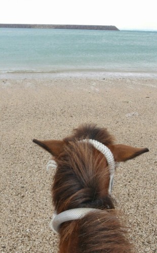 blog_import_54d607030a13d