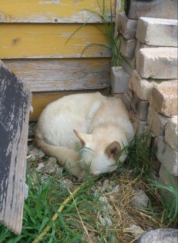 blog_import_54d6070e20bff