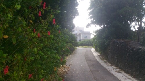 blog_import_54d60741021b8