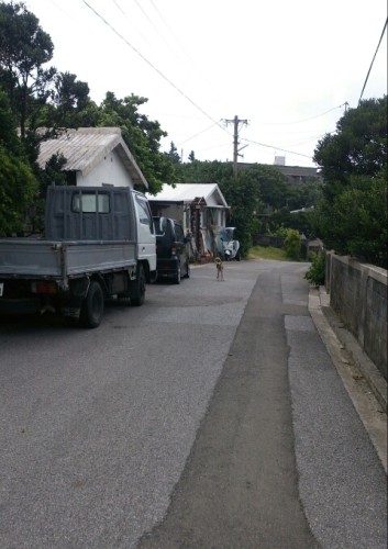 blog_import_54d6075367d68