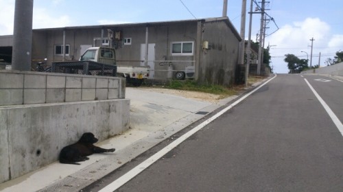 blog_import_54d607560eb95