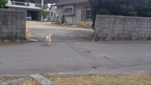 blog_import_54d60759c7d08