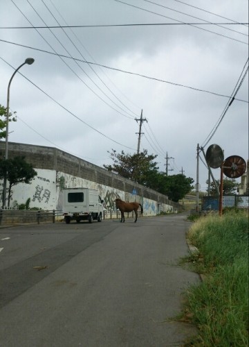 blog_import_54d607620d150